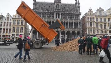 Belgie má nadbytek brambor. Jejich cena klesla, zemědělci je dávají zdarma