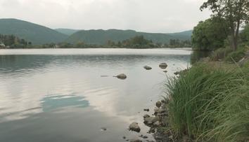 Rybník Trojmezí čeká velká obnova. Pomůže zadržet vodu i chránit perlorodky