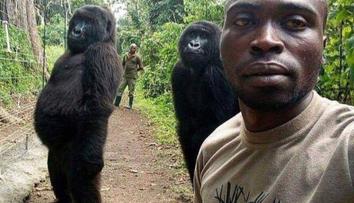 Gorily zapózovaly muži pro selfie! Snímek pak obletěl celý svět