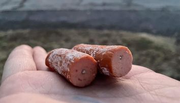 Seniorku rozčilovaly psí výkaly. Rozmístila návnady s hřebíky
