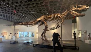 Kostra obřího tyranosaura má nového majitele. Prodala se za bezprecedentní částku