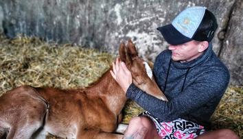 Dvořák z tělocvičny zamířil na farmu. Na svět přivedl roztomilé hříbě