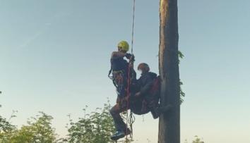 Na Prachaticku v korunách stromů uvízl paraglidista. Zachránit ho museli hasiči