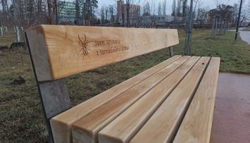 Dřevo zničené tornádem se vrací do přírody. Stane se symbolem naděje