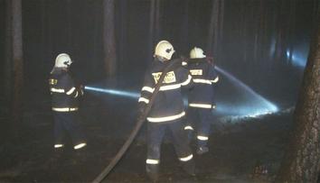 Hořící les u Olešné hasí hasiči z pěti krajů i vrtulník!