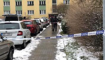 Pošťačka dostala šroubovákem do obličeje, pachatel se dal na útěk