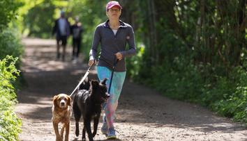Pejskaři pozor! V pražském parku řádí travič, psům tam nechává nástrahy