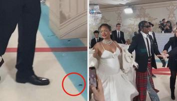 Šváb na večírku Met Gala? Podívejte se, jak zareagovali lidé na místě