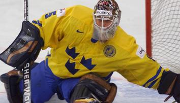 Bývalý gólman NHL a Švédska jde do vězení! Boural opilý s třemi promile