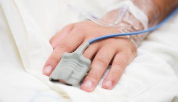 U českých hranic se objevil vzácný virus. Je smrtelně nebezpečný