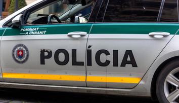 Policie dopadla muže, který utekl od soudu v poutech. Od lidí to schytala