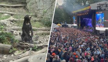Zoologické zahrady trápí letní festivaly. Zvýšený hluk zvířata stresuje, stěžují si