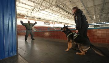 Čtyřnozí policisté trénovali ve Slaném. Figurant v obleku se pořádně zapotil