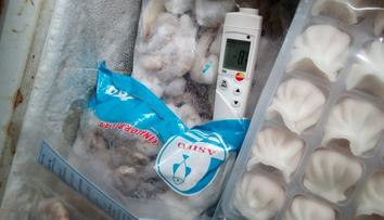 Původ neznámý. Inspektoři s celníky zabavili 70 kilo podezřelého masa