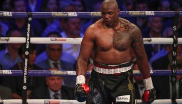 Anthony Joshua je bez soupeře, Whyte byl testován pozitivně na zakázané látky