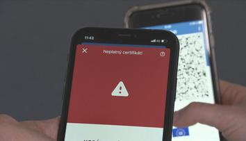 Covid pasy možná zůstanou. Evropská komise chce prodloužit jejich platnost