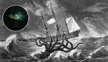 Záhada u antarktického pobřeží: Je to kraken, tvrdí lovci senzací