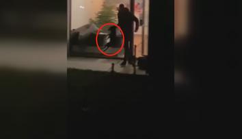 Muž z Prahy brutálně mlátil štěně, házel s ním i o zem! Řeší to policie