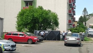 Konec vyšetřování vraždy novorozence v Kroměříži. Tělíčko policisté nenašli