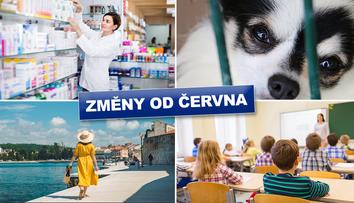 Vyšší tresty za týrání, nová žádost o ošetřovné. Tohle se od června mění