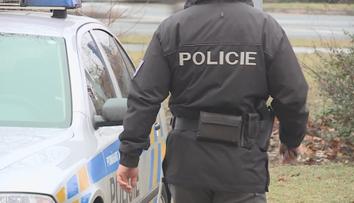 Pohřešovanou dívku, která utekla z tábora, se podařilo najít. Je v pořádku