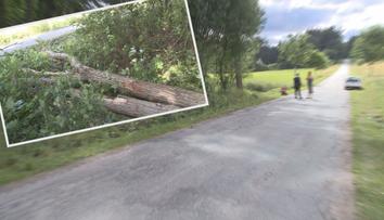 Jedno z dětí, na které spadl strom při vycházce školky, zemřelo!