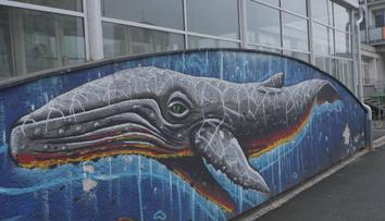 V Opavě plánují nové aquacentrum. Očekává se vysoká návštěvnost