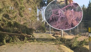 Poničená Rohozná: Na účtu se sešlo 400 tisíc, lidé se bojí další bouře