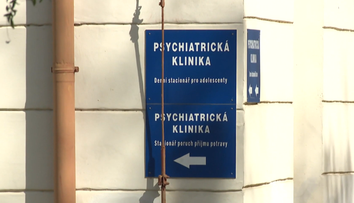 Chlapec v afektu napadá vlastní matku. Špatná péče o autisty v Česku je časovanou bombou