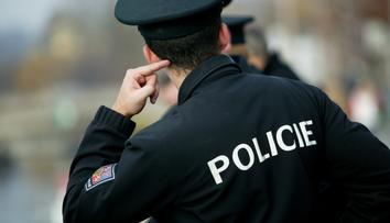 Poslíček před Vánoci doručil balíky, peníze za ně si však ponechal