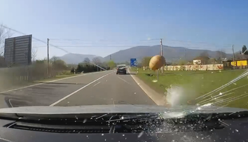 Dva ptáci Tomášovi rozbili auto. Natočila je kamera, lidé záběrům nemohou věřit