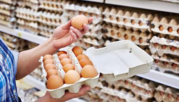 Vejce od českých slepic, ale z Polska: Někdo vytahuje starou kauzu, říká Lidl