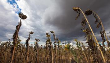 Problém se srážkami je vážný. Něco takového meteorologové nepamatují
