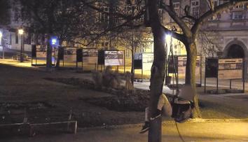 Muž chtěl ukrást ze stromu kabel. Zkoušel se ně na něj i pověsit