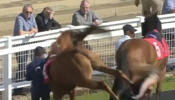 VIDEO: Děsivý moment při dostizích. Kůň nakopl vší silou mladou ženu do zad