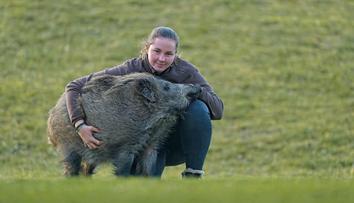 V české stanici mají kuriozitu. Místo psa ji hlídá divoké zvíře