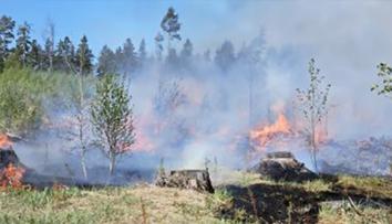 Požáry řádí po celém Česku. Na Pelhřimovsku hořel les, na Táborsku pila