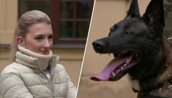 Hradní stráž poslala psa "bombaře" na reportérku. Ta měla v kapse výbušninu