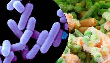 Evropa bojuje se smrtící listérií! České úřady vydaly varování