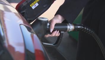 Vláda určila maximální ceny pohonných hmot. Měly by být nižší, žádá