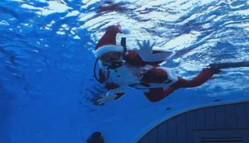 Santa v Tokiu nerozdával dárky jen hodným dětem. Na své si přišli i tučňáci