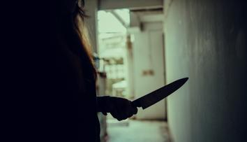 Student v Německu měl pobodat svou učitelku. Při zatýkání jej postřelili