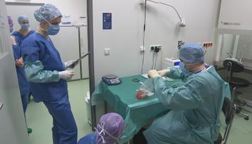 Naděje pro pacienty s cukrovkou 1. typu: Může jim pomoci unikátní transplantace