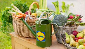 Lidl po celé republice otevírá jedlé školní zahrady