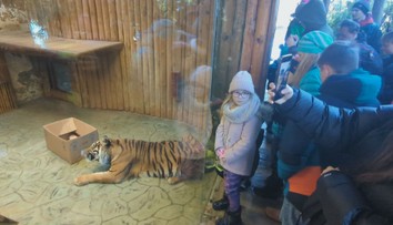 Štědrý den v zoo: Zvířata dostala speciální vánoční pochoutky