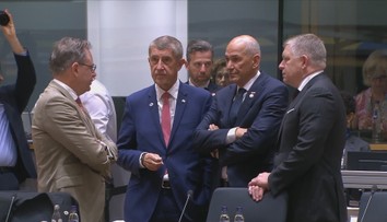 Babiše čeká jednání V4 v Budapešti. Sejde se i s Magyarem