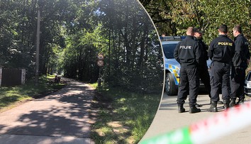 Nešťastný konec pátrání po houbařce, našli ji v lese mrtvou