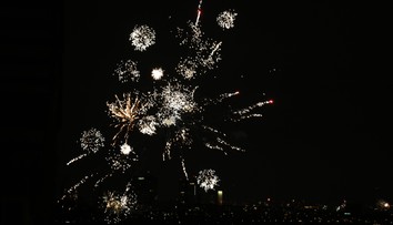 Na Vysočině uhynula na silvestra březí klisna. Lekla se petard, říká majitelka