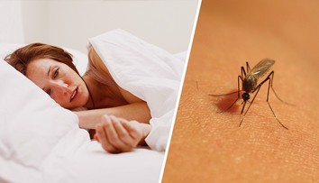 Úřad varuje před cestami na jih Evropy. Šíří se tam virová onemocnění