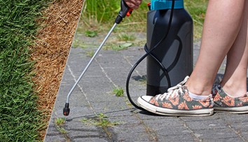 Tráva letos extrémně roste. Města a lidé se neshodnou, co s ní dělat
